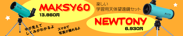 MAKSYとNEWTONY