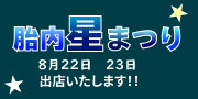 胎内星まつり 