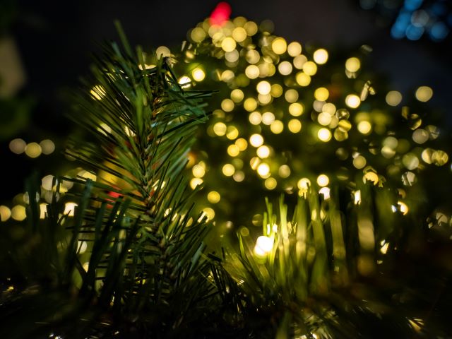 ロッセルダカラ50.4ミリ　F + + + GFX 50S + ACT300 120mm f1.6 と Kipon 0.8x M645 フォーカル