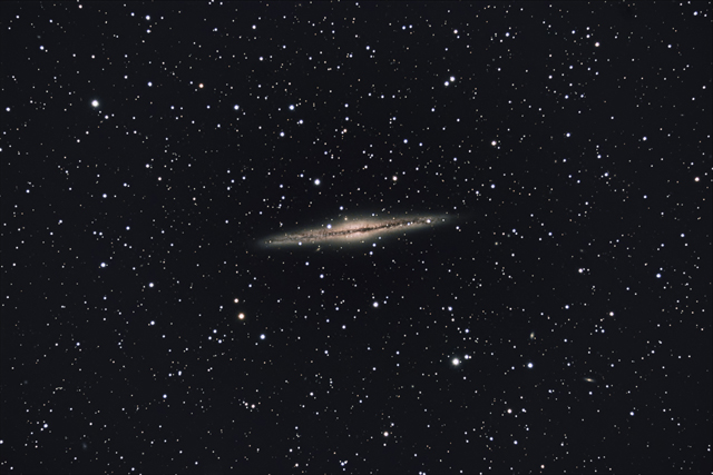 ngc891.jpg