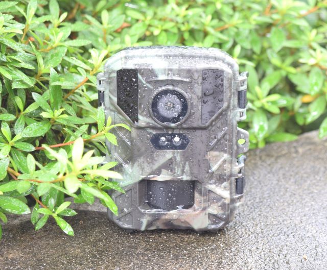 海外マステ 800枚以上 コラボレーションマステ - 星燈社 公式オンラインストア